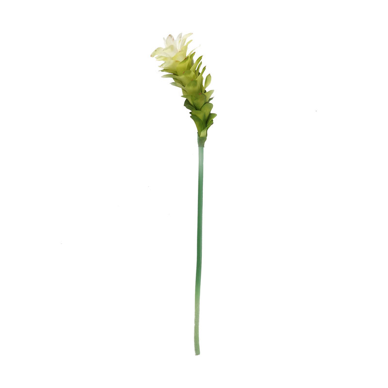 Tige de décoration florale 30 po, Crème / Blanc
