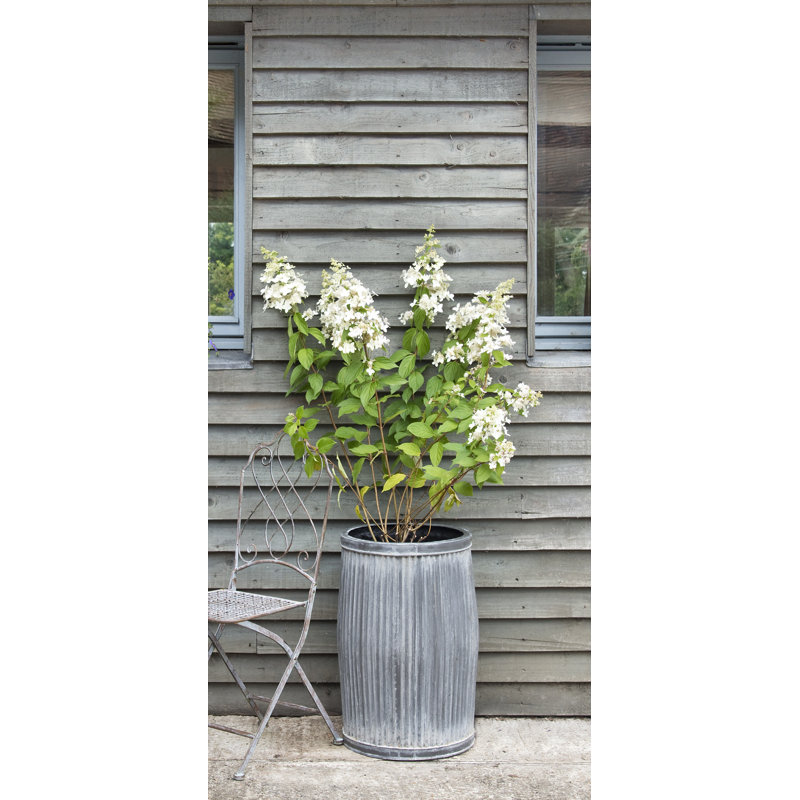 Fornah Fibreglass Planter