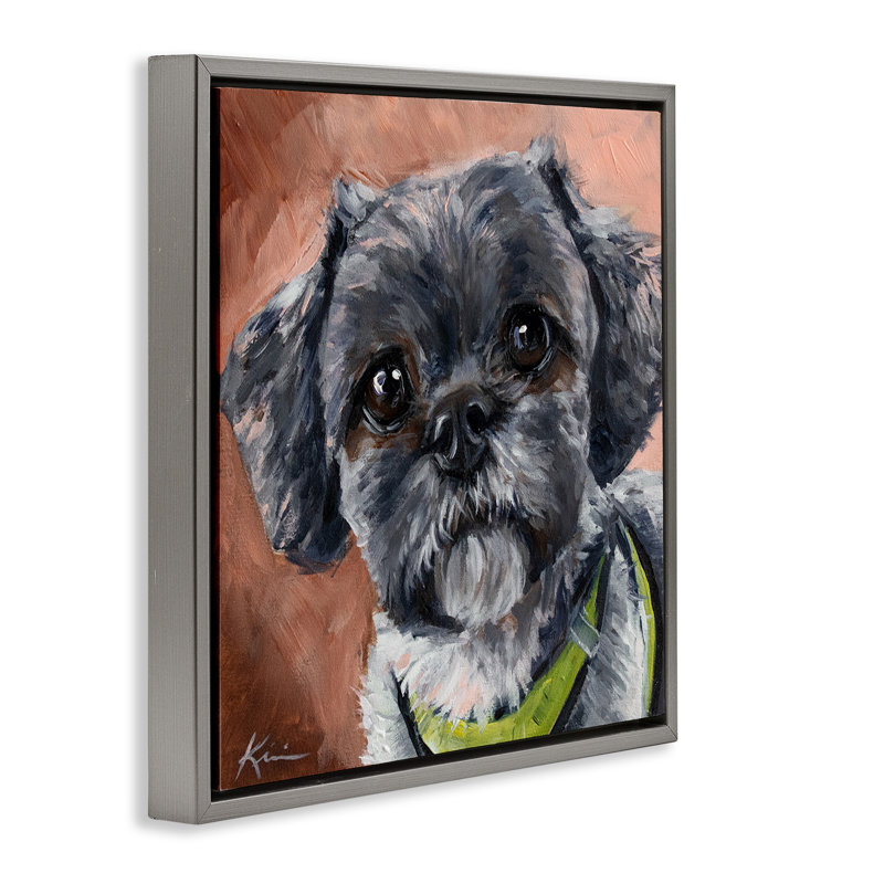 Portrait de chien Shih Tzu, Cadre flottant gris lustré, H 18 po x l 18 po