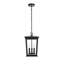 Luminaire suspendu d'extérieur 9,5 pouces Deidra en noir