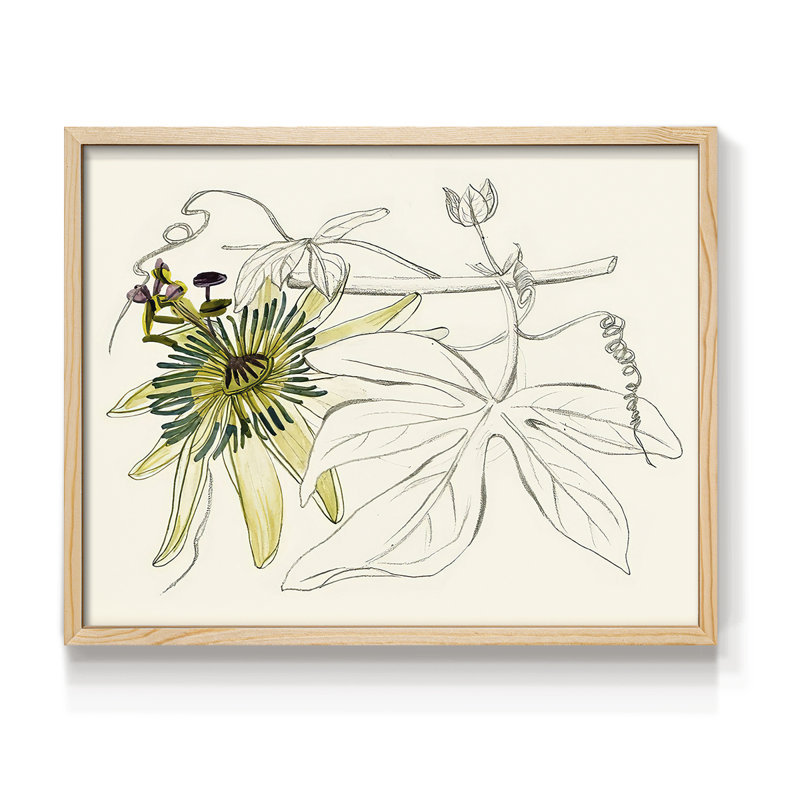 Passiflore I - reproduction encadrée - réarmable, H 8 po x l 10 po, Naturel