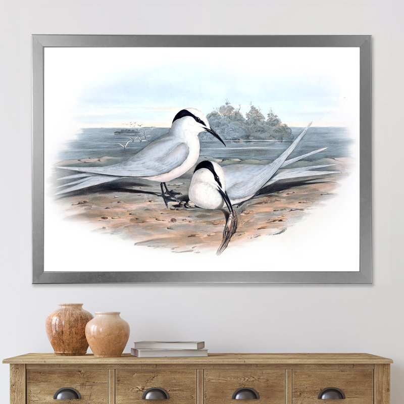 «Vintage Birds in the Wild», impression sur toile, H 24 po x l 32 po x 1,5 po, Toile encadrée argentée