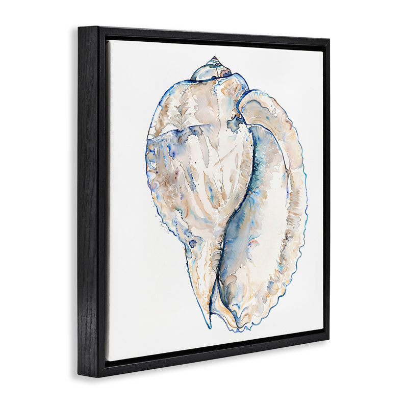 Conque coquille sur toile flottante encadrée par Christine Zalewski, Cadre flottant noir de jais, H 18 po x l 18 po