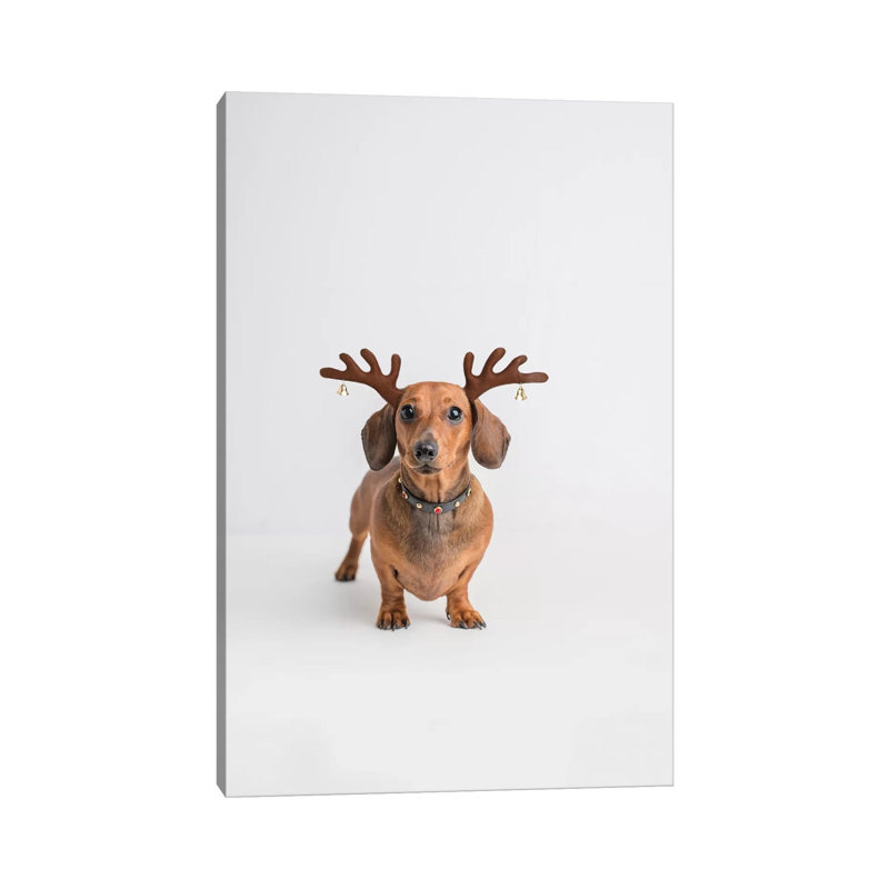 Frankie by Rachael Hale - Print on Canvas, 66.04 cm H x 45.72 cm W x 3.175 cm D, Wrapped Canvas