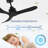 42-Inch Ceiling Fan Without Light