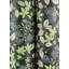 Mildred Black Botanical Trail Wallpaper-2032284439