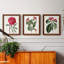 Ensemble de 3 peintures sur toile Roseat Blooms IV-1642987160-1642987143