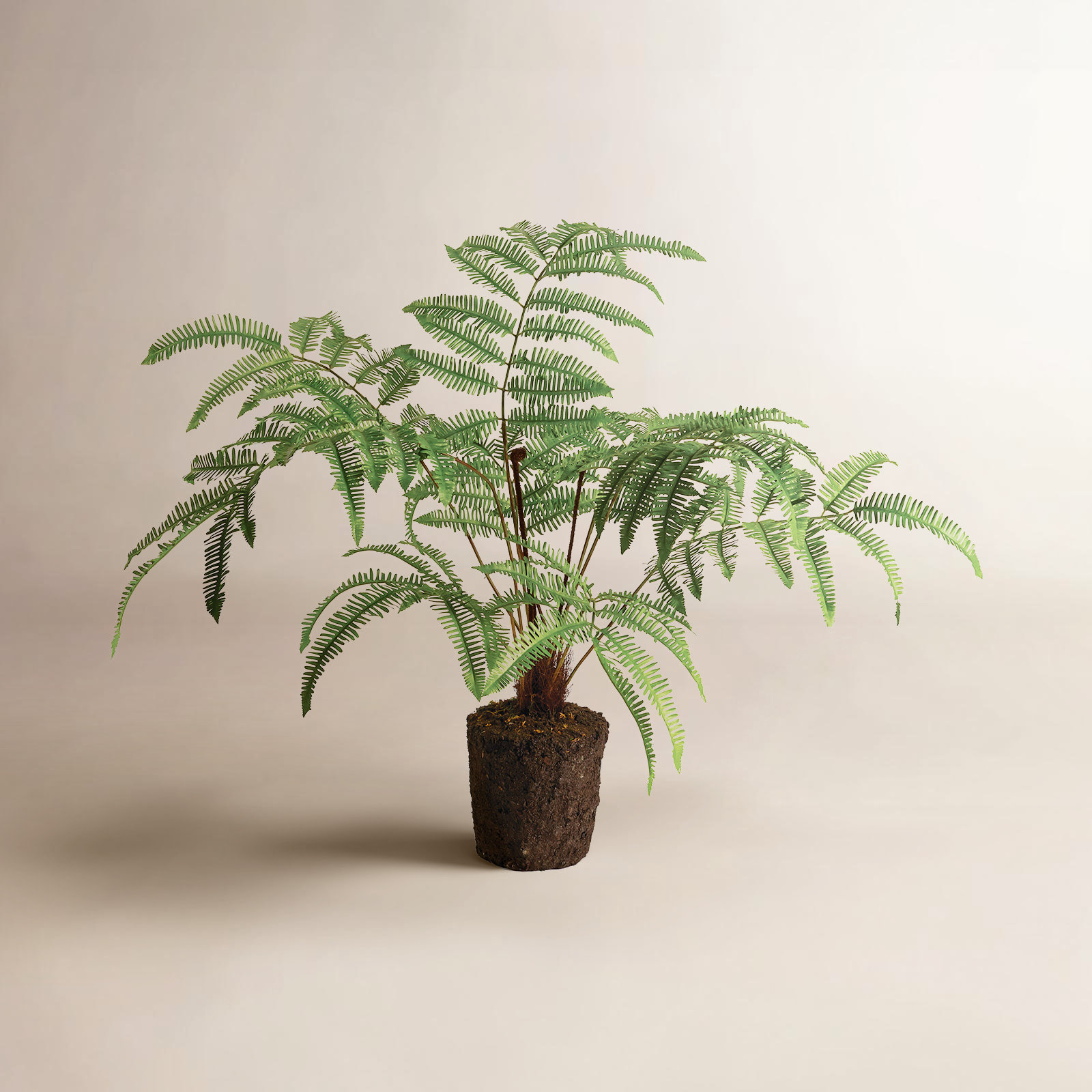 Georgia 30" Fern Plant, 29.5" H x 6.5" W x 7" D
