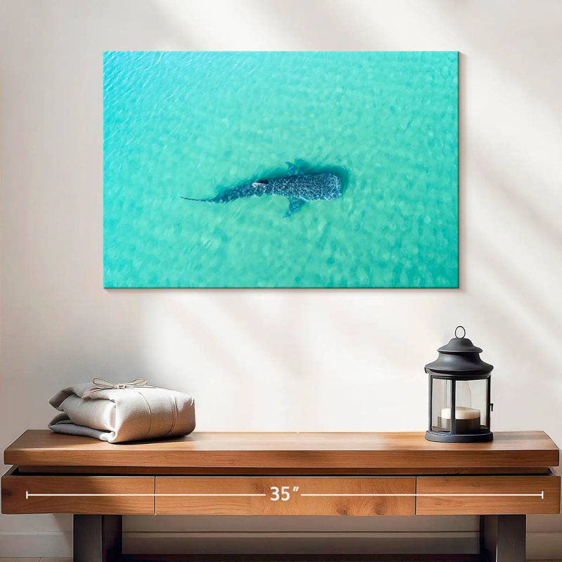 Crowle La Paz Whale Shark, 16" H x 24" W