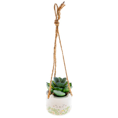 Pot de plantes grasses suspendu en forme