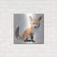 «Foxy Good» par Kim Curationa, art mural en métal-1182825746