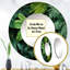 «Sercay Emerald Canopy Rainforest Leaves I - Leaves Unique Wall Mirror Decor, Green Large-1750913155