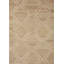 Moroccan Area Rug in Beige