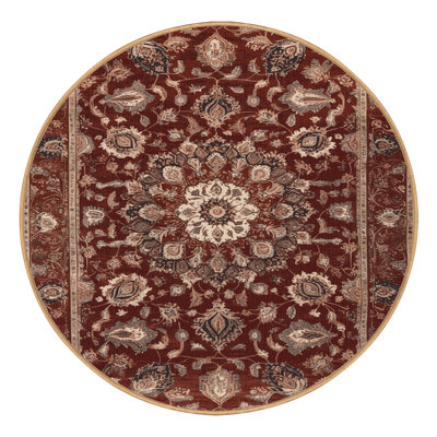 Machine Washable Persian Brown Area Rug