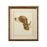 Danchin Cocker Spaniel Print