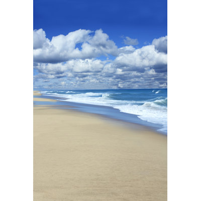 " Cape Cod Beach "