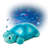 Twinkling Twilight Turtle