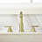 Widespread 2-handle Bathroom Faucet-52821014