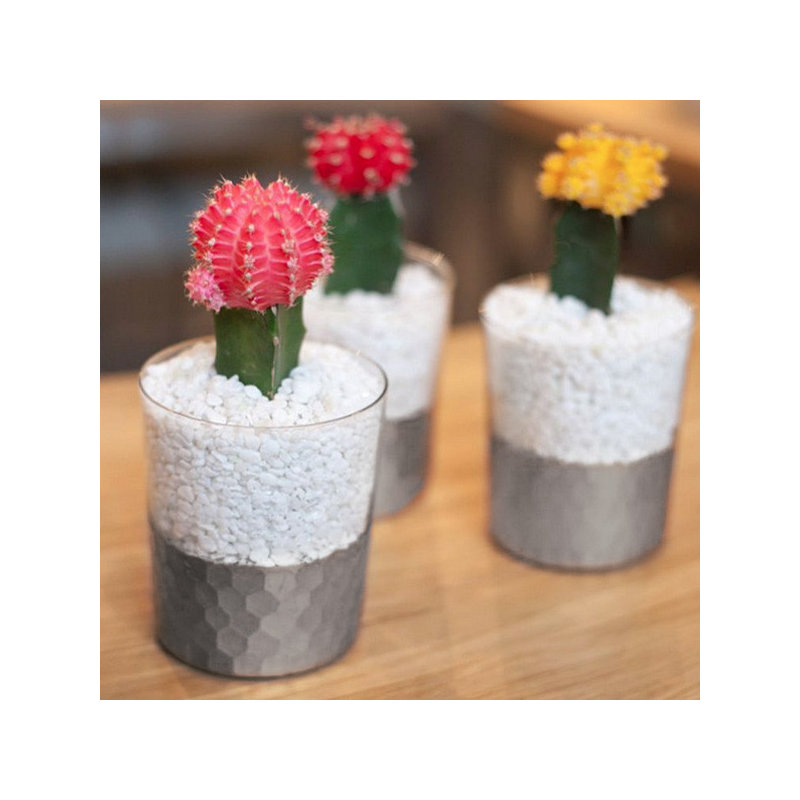 Vase à fleurs Hosley Argea Loral, argent, 4,25" H x 3,5" L x 3,5" D