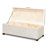 Shagreen Handmade Faux Leather Decorative Trunk-96775019