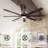 72.7" 8 Blade LED Standard Ceiling Fan DC Motor With Remote Control And Light