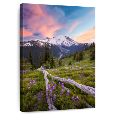 Fleurs de lavande Alvord Mount Rainier