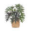 West Palm Faux Philodendron Plant in Cement/Bamboo Planter