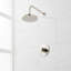 Lexia Pressure Balance Shower Set-1086430287