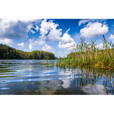 Forest Lake - Wrapped Canvas Print