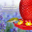 Mangeoire à colibri en verre avec douves de fourmis, capacité de 16 oz, 6 ports d'alimentation, abeille et fourmis