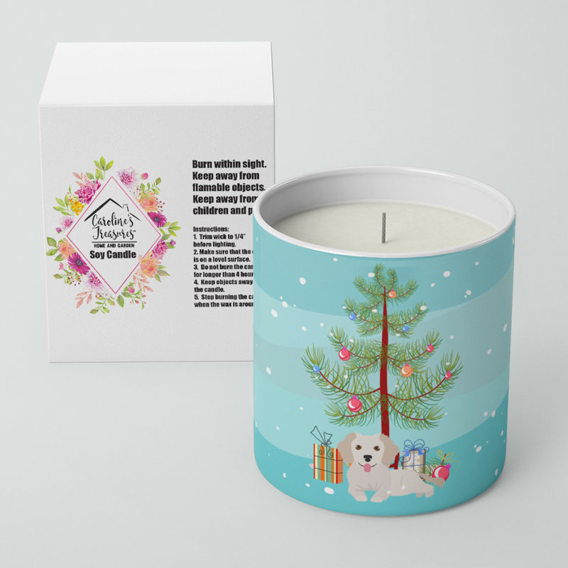 Petit bougie de soja 10 oz
