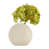 Sage Green is unavailable