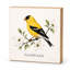 Bloc décoratif carré en bois Goldfinch Mini Art Block, 5,5 pouces