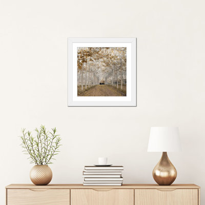 " White Gold " by Assaf Frank