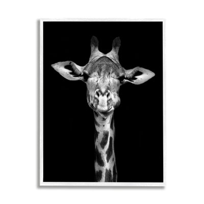 "Greyscale Zebra Stripes", photographie détaillée par Incado - impression