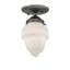 Prairieburg 1 - Light Flush Mount