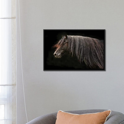 " Ebony " by Tony Stromberg