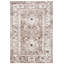 Ferrill Oriental Brown/Ivory Area Rug-716857166