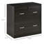 Classeur de bureau personnel avec serrure, 2 tiroirs, couleur noyer, capacité de charge maximale de 110 lb, l 30,03 po x P 16,5 po, H 27,97 po, noyer, support de poids, l 30,03 po x P 16,5 po, H 27,97 po