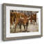 Longhorns-162033352-162033354