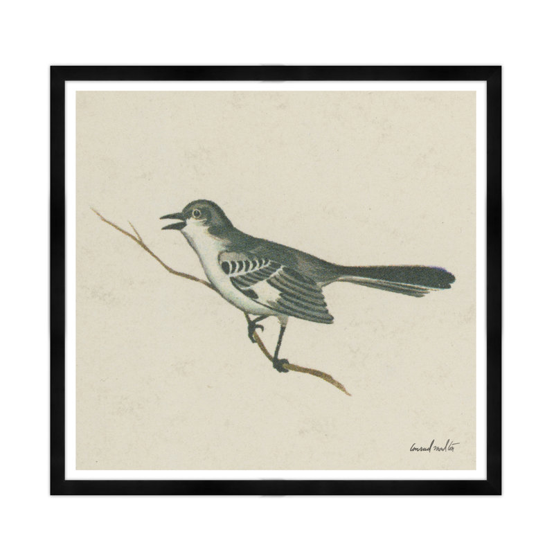 Mockingbird Print, Black Framed