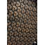 Objects Solid Wood Decorative Tray