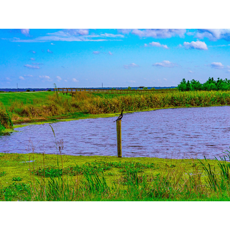 «Sweetwater State Park Daytime Landscape Gainesville, Florida» par Brian Mc Clean - photographie de cadre, Toile tendue
