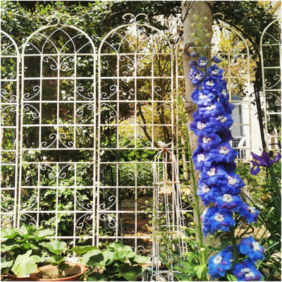 Paquet de 4 treillis de jardin en métal 86,7 "x 19,7" antirouille pour plantes grimpantes, support pour fleurs extérieur blanc crème