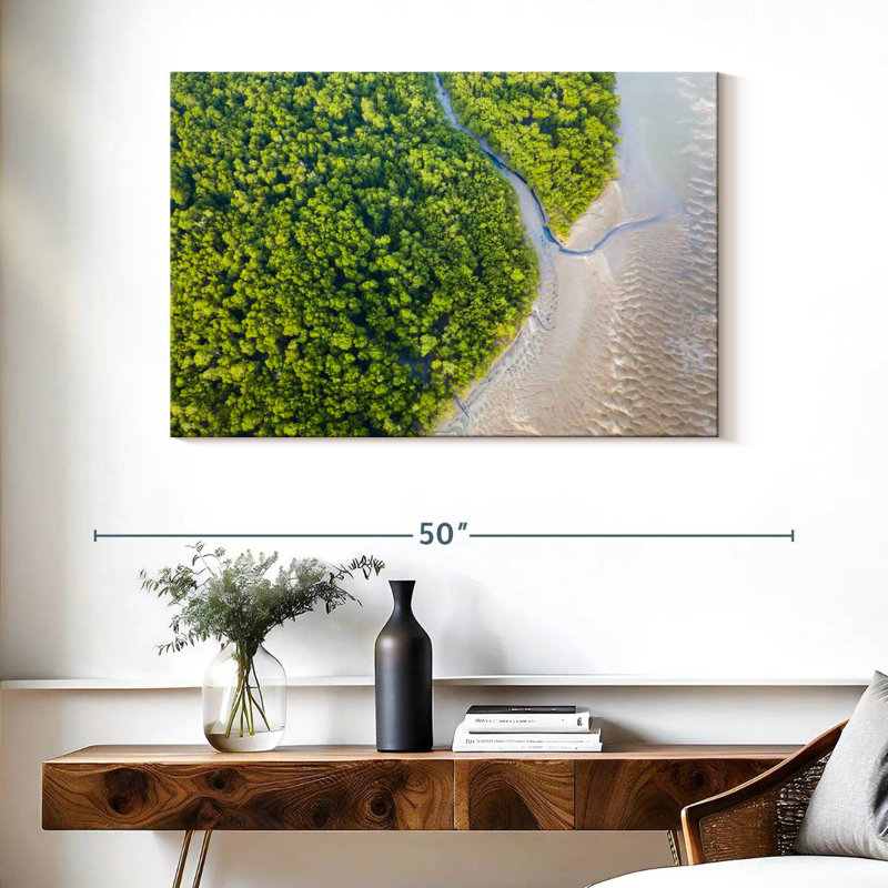 Alvord Dense Amazon Rainforest