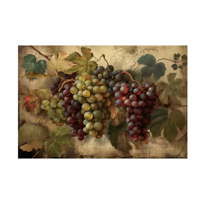 Sasha Grapes I Canvas Art, 12'' H x 19'' W