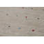 Tapis tribal Gabbeh