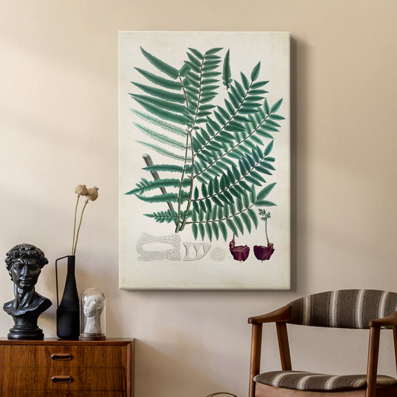Collectionné fougères vii-galerie sur mesure, H 48 po x l 32 po