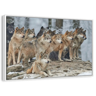 Wild Wolf Pack