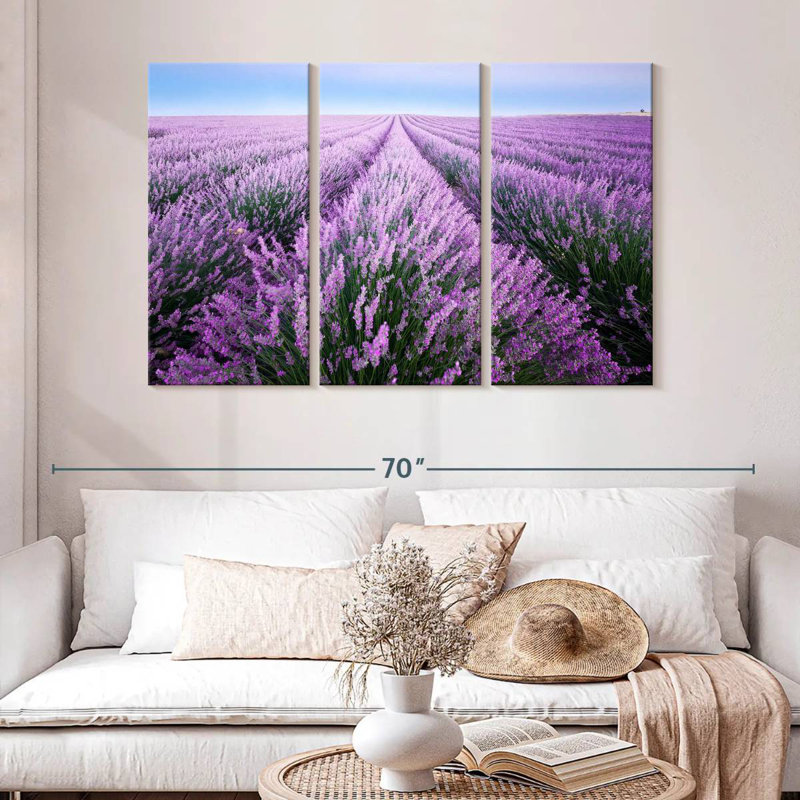 Champ de lavande d'Alvord en Provence, H 32 po x l 50 po